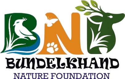 Bundelkhand Nature Foundation logo